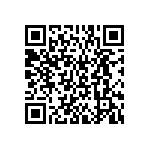 BKT-161-04-L-V-S-P QRCode