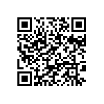 BKT-163-01-L-V-P-TR QRCode