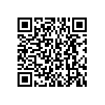 BKT-163-02-L-V-S-A-P QRCode