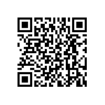 BKT-167-01-F-V-P QRCode