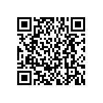 BKT-167-01-F-V-S-A-P-TR QRCode