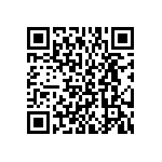 BKT-167-01-L-V-A QRCode