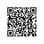 BKT-169-01-L-V-S QRCode