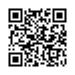 BU2010-E3-45 QRCode