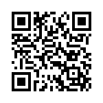 BVB01-Z0000-12 QRCode