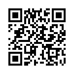 BZT52-C4V3X QRCode