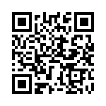 BZT55A9V1-GS08 QRCode