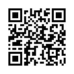 BZT55B3V3-GS08 QRCode