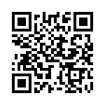 BZT55B4V3-GS18 QRCode