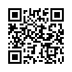 BZT55B8V2-GS08 QRCode