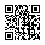 BZT55C13-L1G QRCode