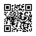 BZT55C3V9-GS08 QRCode