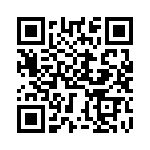 BZT55C4V7-GS08 QRCode