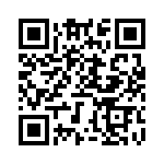 BZT55C51-GS08 QRCode