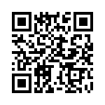 BZV04-Z0000-04 QRCode