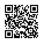 BZV15-Z0000-13 QRCode