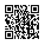 BZV55C4V3-L0G QRCode