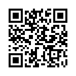 BZW04-11-R1G QRCode