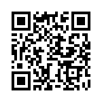 BZW04-13 QRCode