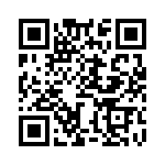 BZW04-171HR1G QRCode