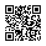 BZW04-17HR1G QRCode