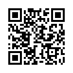 BZW04-19BHR1G QRCode