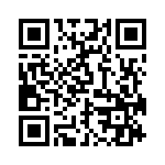 BZW04-213HA0G QRCode