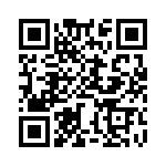 BZW04-256HR1G QRCode