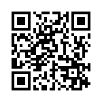 BZW04-33 QRCode