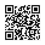 BZW04-6V4B-R1G QRCode