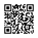 BZW04P13-E3-73 QRCode