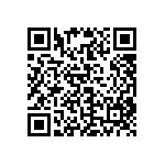 CA12382_TINA2-SS QRCode