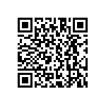 CA3102E24A24PA95 QRCode