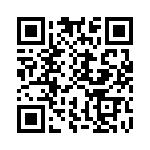 CE3391-33-333 QRCode