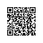 CK45-B3DD121KYNR QRCode