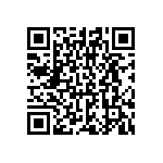 CNX_310_033_X_4_1_06 QRCode