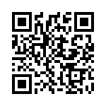 CS335 QRCode