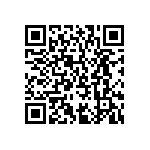 CSTCE20M0V13C99-R0 QRCode