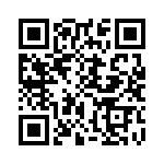 CW0101K300JE12 QRCode