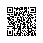 CW0101K500JE733 QRCode