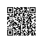 CW0103R300KE733 QRCode