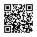 D09P33E4GL00LF QRCode