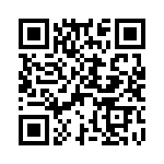 D09S33E6RV09LF QRCode