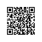 D55342E07B100DRTF QRCode