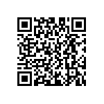 D55342E07B105ERWS QRCode