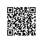 D55342E07B110BRWS QRCode