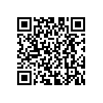 D55342E07B120BRWS QRCode