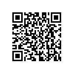 D55342E07B138BRWS QRCode