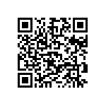 D55342E07B150ERWS QRCode