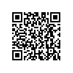 D55342E07B17B2MWS QRCode